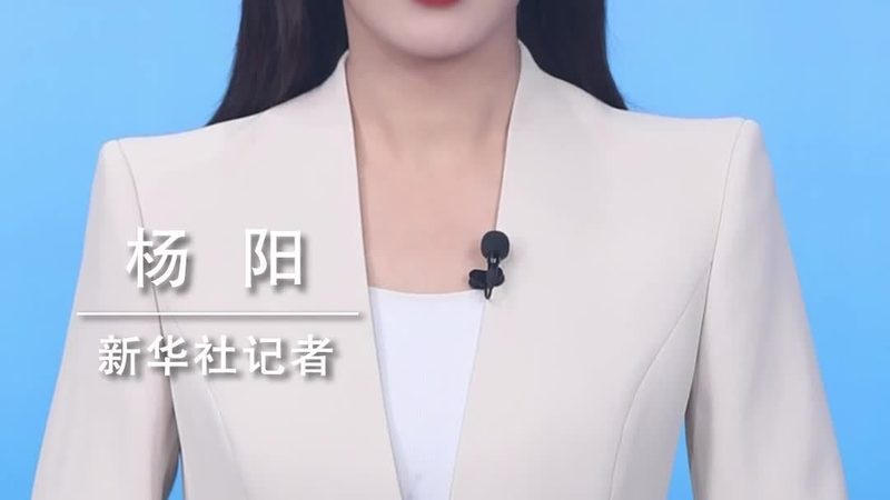 大数据分析解决方案：探寻优缺点背后的逻辑